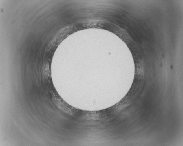 X0000052940820200507221144