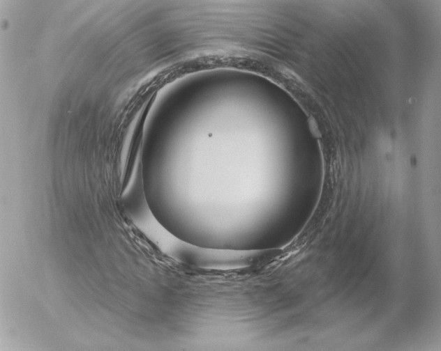 X0000052940822200507221144