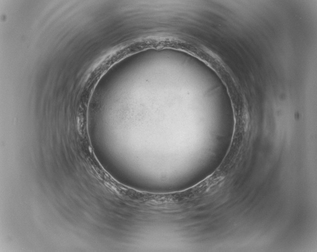 X0000052940823200507221144