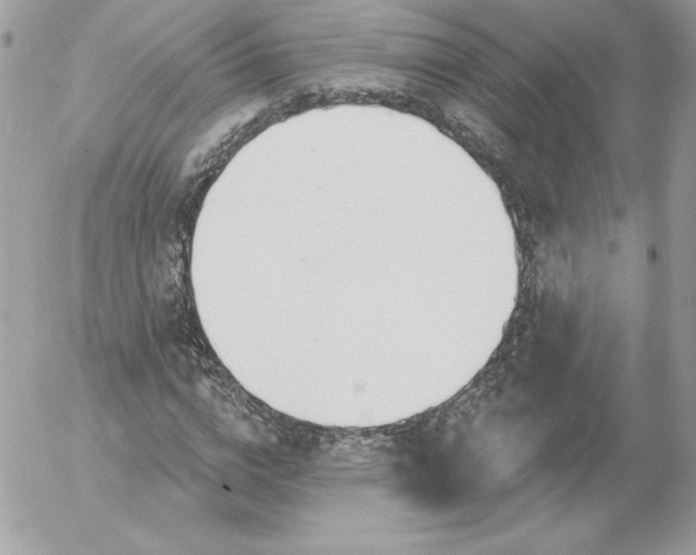 X0000052940824200507221144