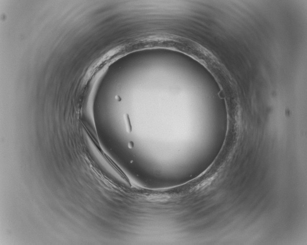 X0000052940825200507221144