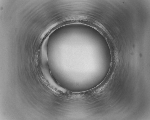 X0000052940826200507221144