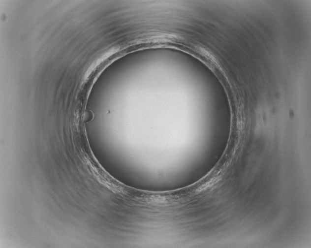 X0000052940827200507221144