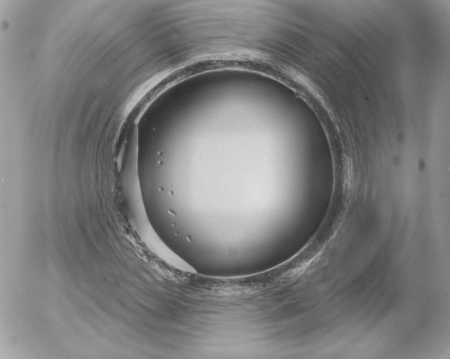 X0000052940829200507221144