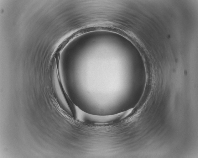 X0000052940830200507221144