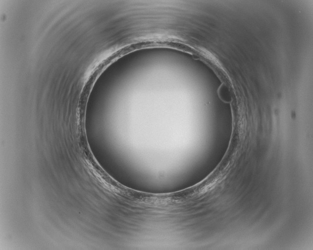 X0000052940831200507221144