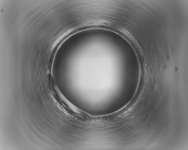 X0000052940834200507221144