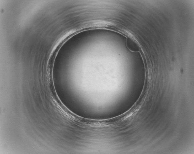 X0000052940835200507221144