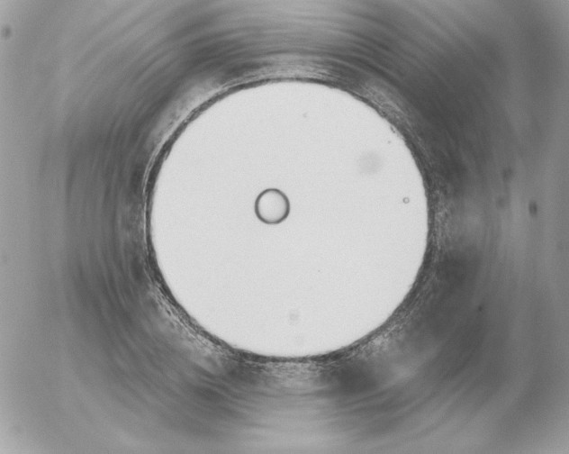 X0000052940836200507221144