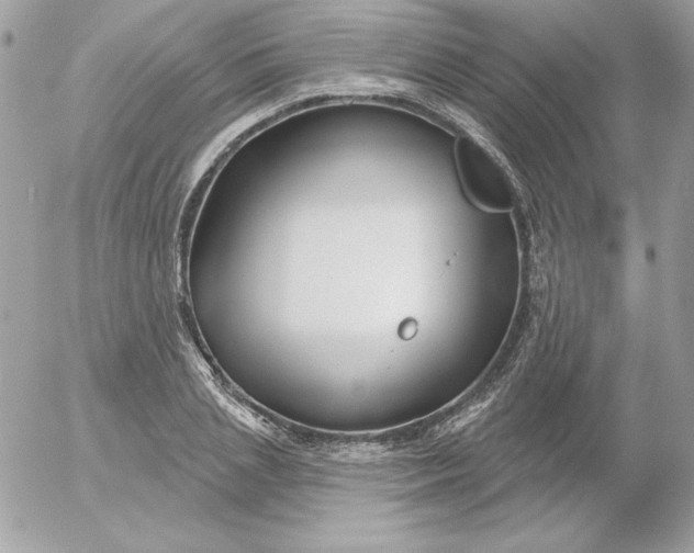 X0000052940837200507221144