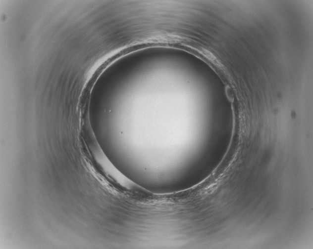 X0000052940838200507221144