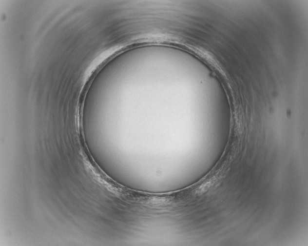 X0000052940839200507221144