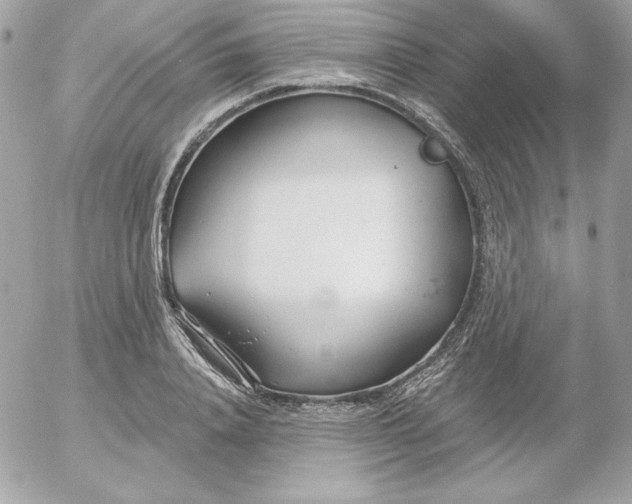 X0000052940840200507221144