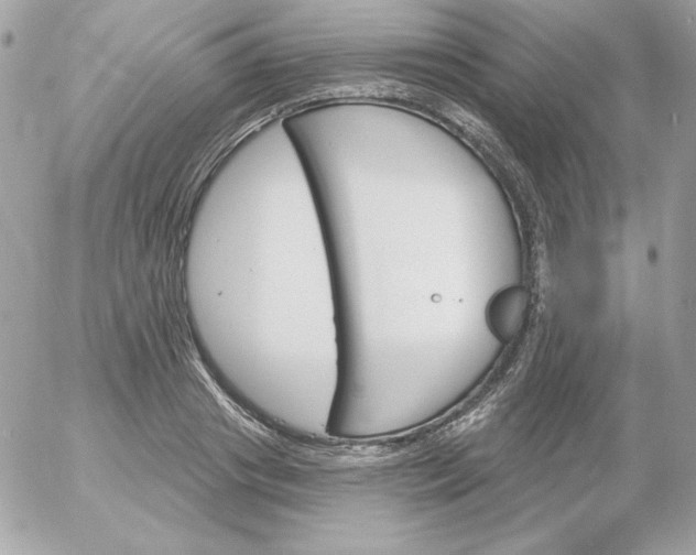 X0000052940841200507221144