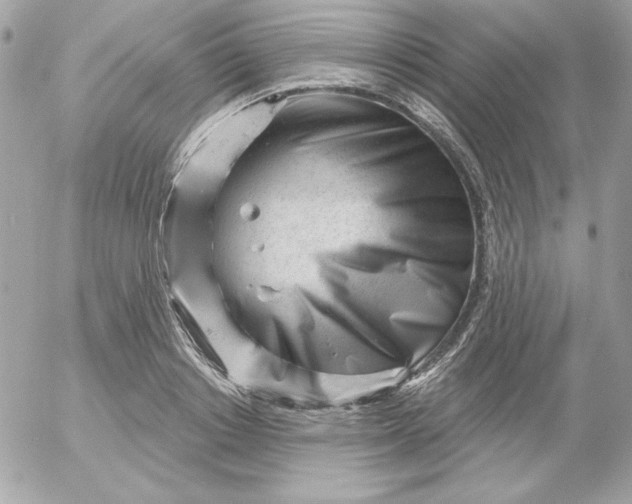 X0000052940842200507221144