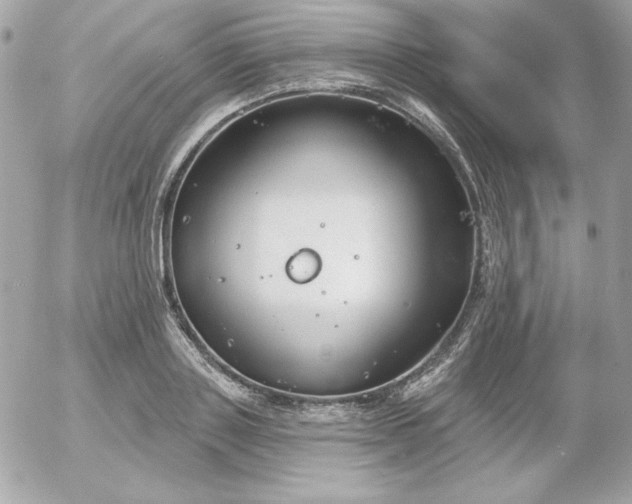 X0000052940843200507221144