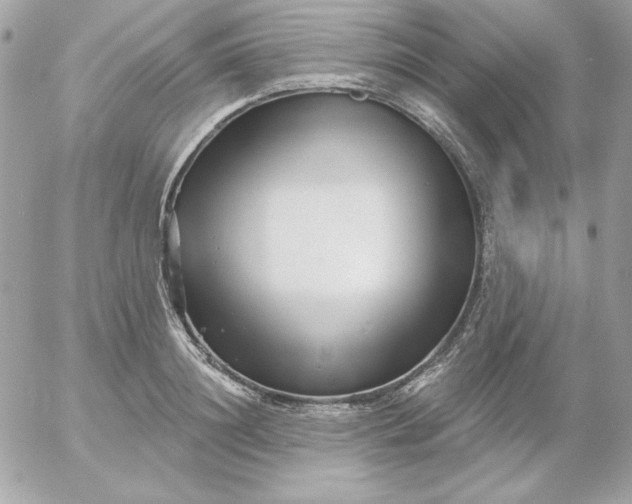 X0000052940844200507221144