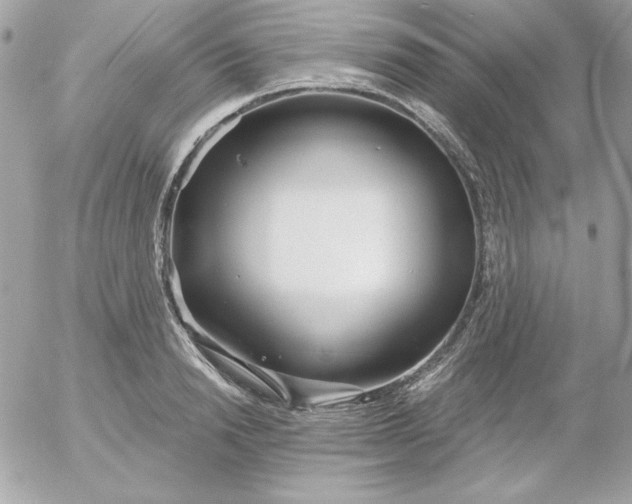 X0000052940846200507221144