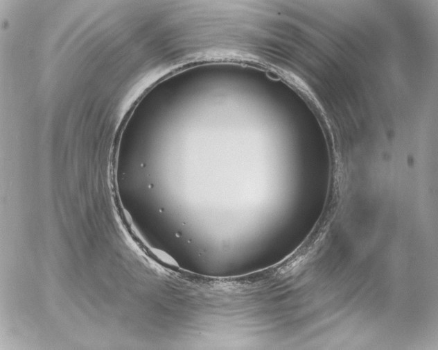 X0000052940847200507221144