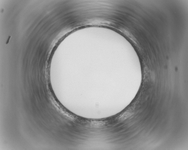 X0000052940848200507221144