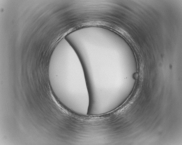 X0000052940849200507221144