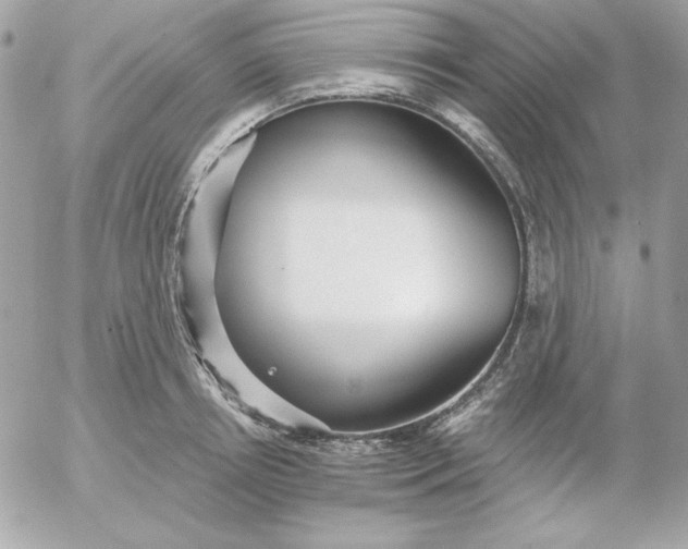 X0000052940850200507221145