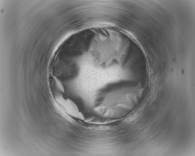 X0000052940851200507221145