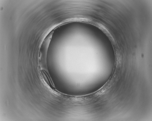 X0000052940852200507221145