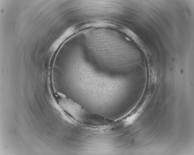 X0000052940853200507221145