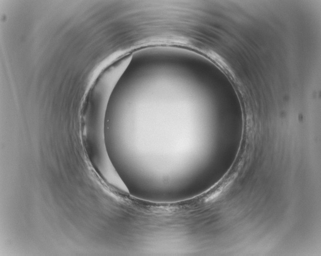 X0000052940854200507221145