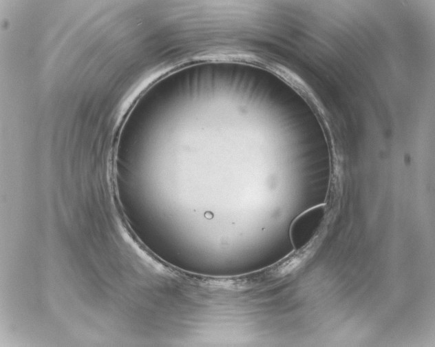 X0000052940855200507221145