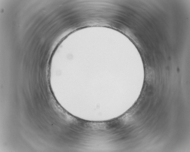 X0000052940856200507221145