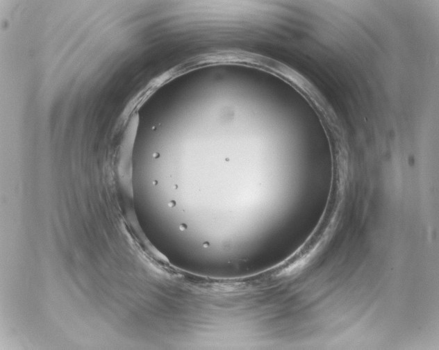 X0000052940857200507221145