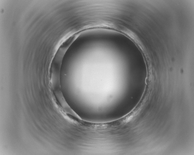 X0000052940858200507221145