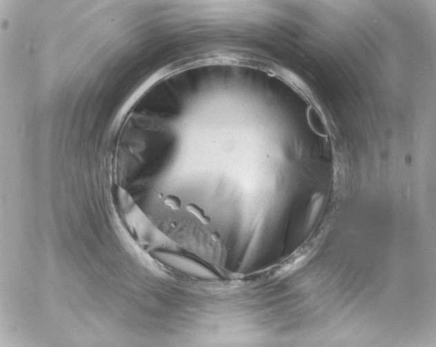 X0000052940859200507221145