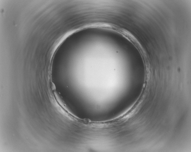 X0000052940860200507221145