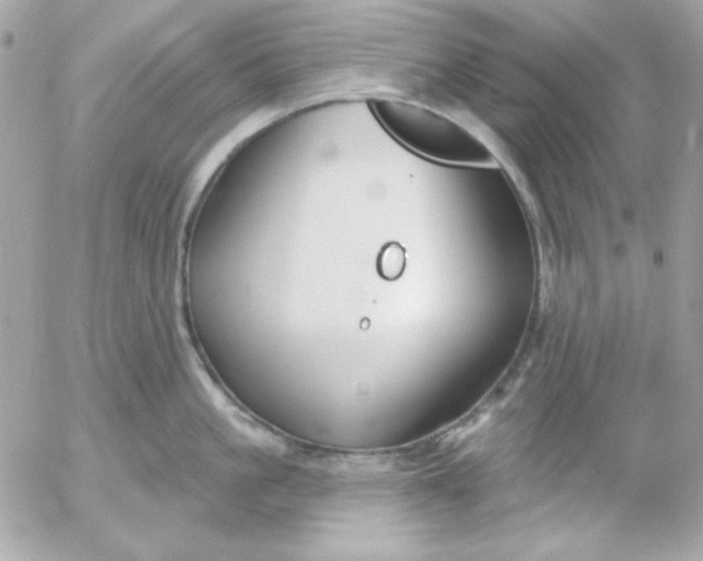 X0000052940861200507221145