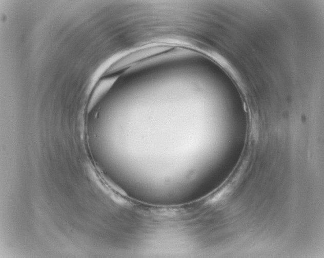 X0000052940862200507221145