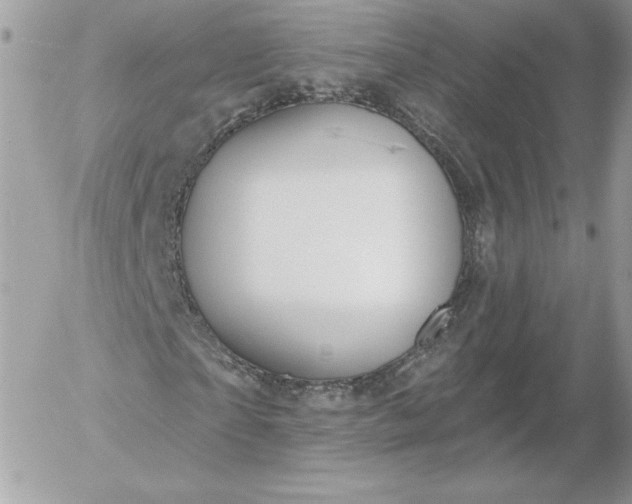 X0000052940865200507221144