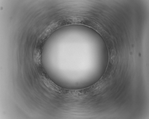 X0000052940866200507221144