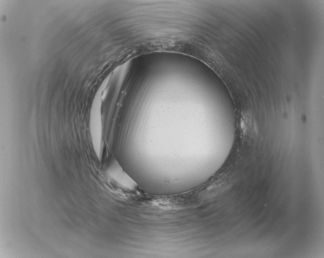 X0000052940867200507221144