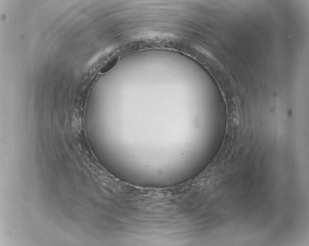 X0000052940869200507221144