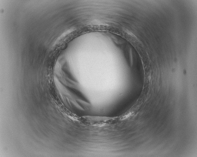 X0000052940870200507221144