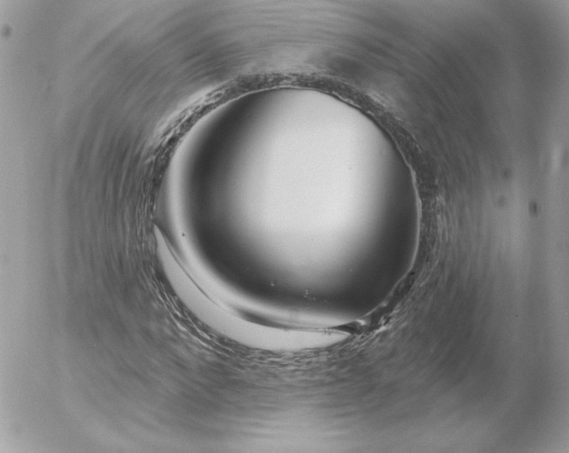 X0000052940872200507221144