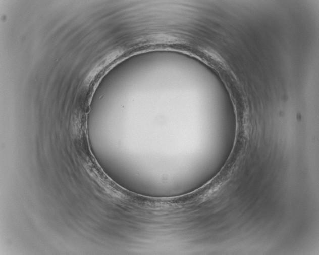 X0000052940873200507221144