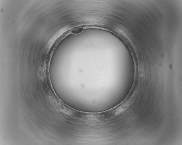 X0000052940875200507221144