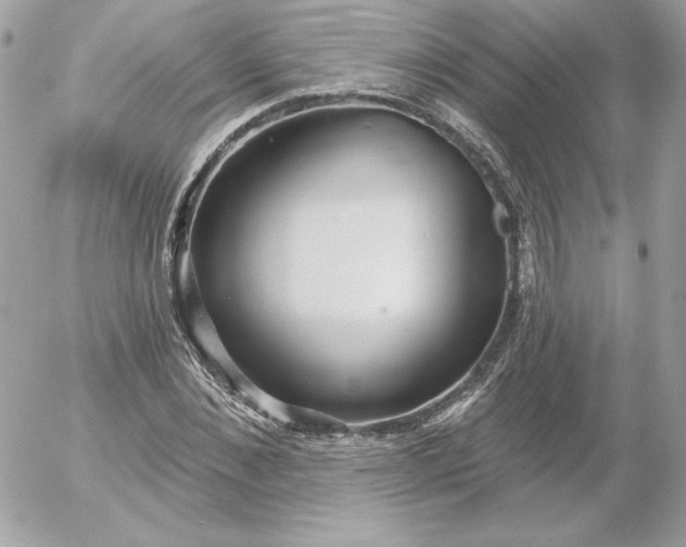 X0000052940876200507221144