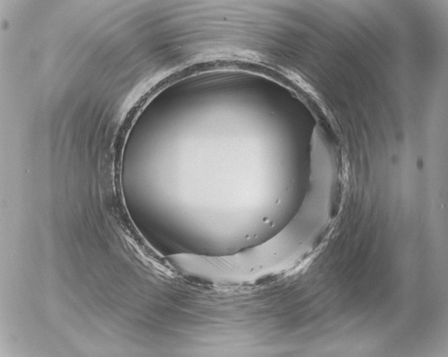 X0000052940877200507221144