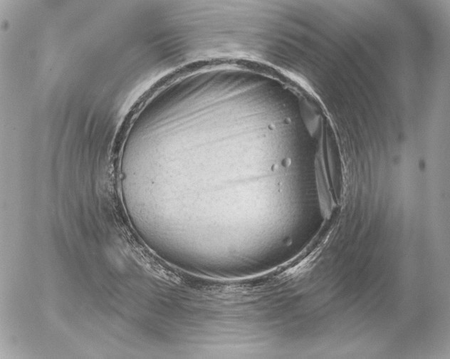 X0000052940879200507221144