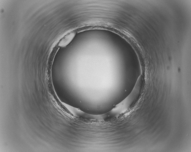 X0000052940880200507221144